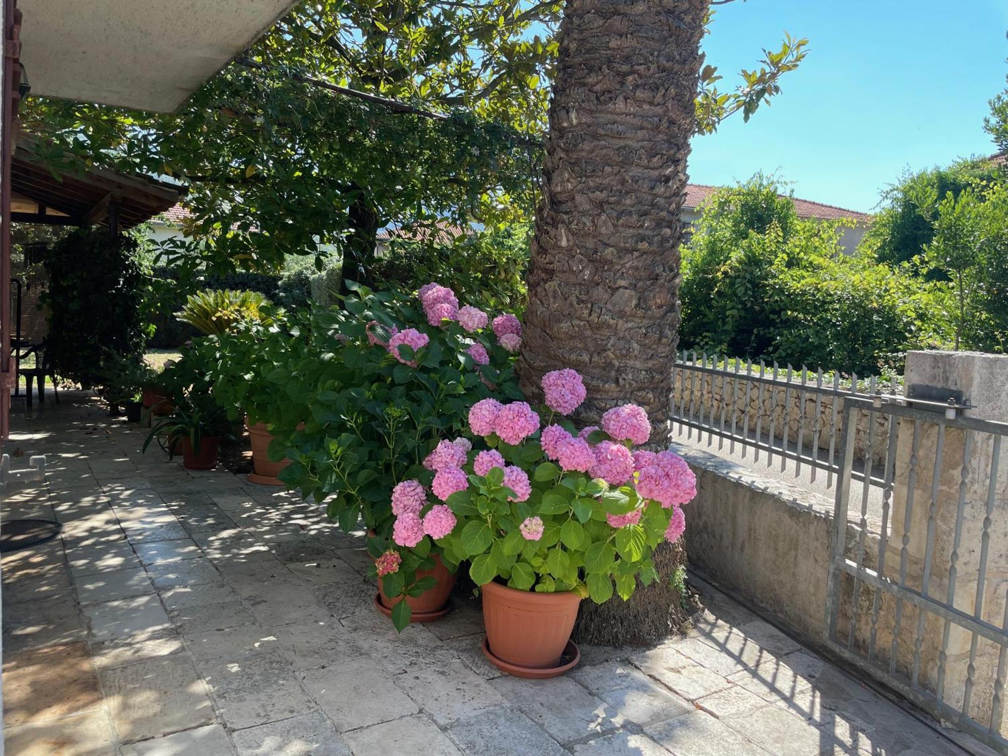 Hvar Guesthouse - Double Bedroom With Private Bathroom Jelsa  Exteriör bild